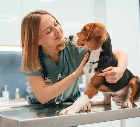 Dr Sophie Marchand